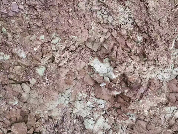 QQ图片20170909075413.jpg